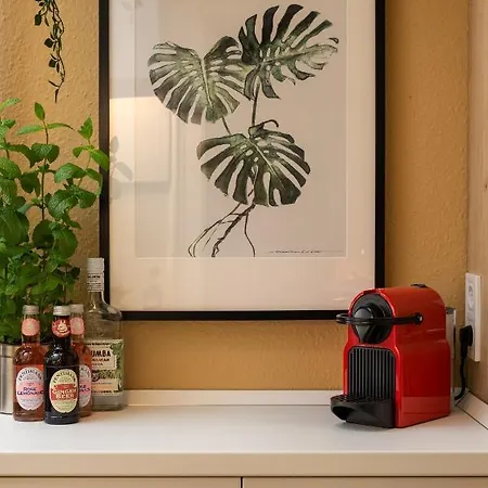 Secret Of The Monkey