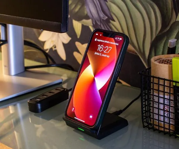 Secret Of The Monkey Apartament