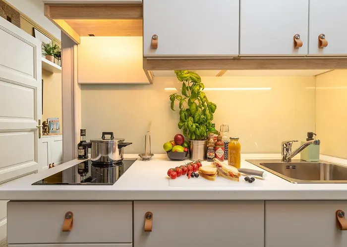 Secret Of The Monkey Apartament